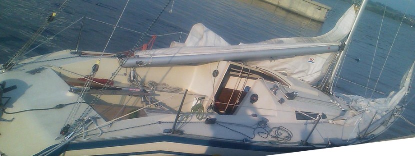 Banner 28 Racer - SUI1687 Banner 28 Racer - SUI1687